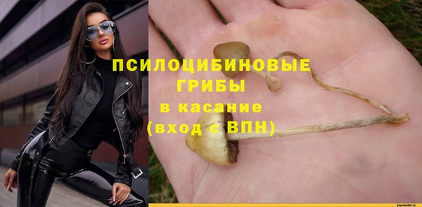 ALPHA PVP Верея