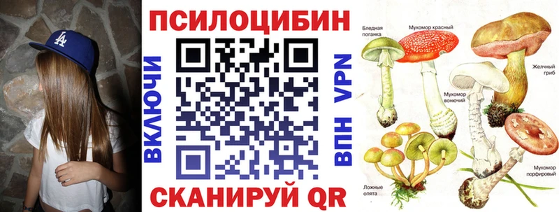 Псилоцибиновые грибы GOLDEN TEACHER  где купить наркоту  Курск 